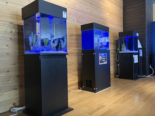 御前崎市イベント