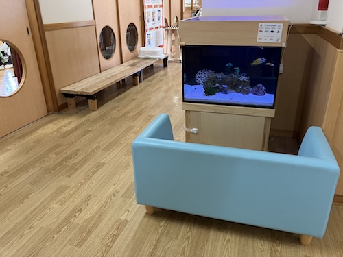 藤枝市こども園