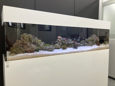 静岡市会社（事務所）