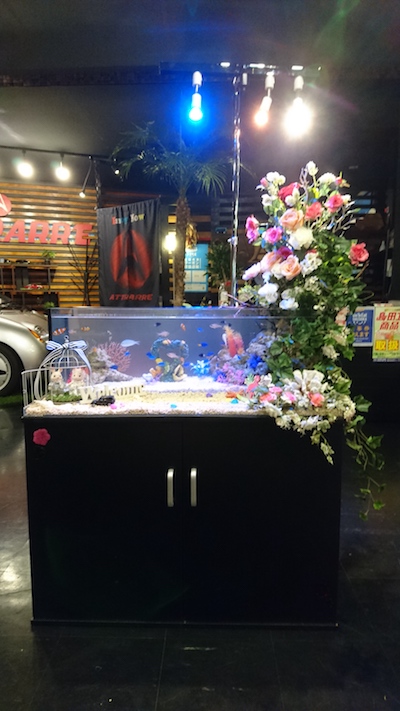 島田市イベント