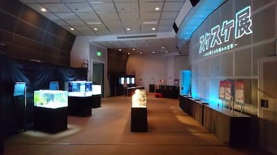 掛川市イベント