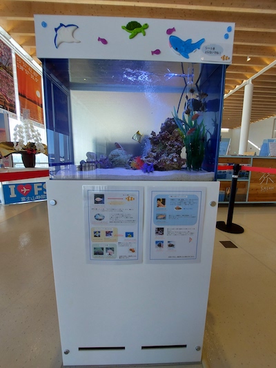 牧之原市イベント