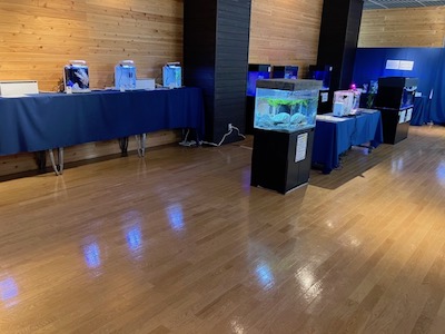 御前崎市イベント