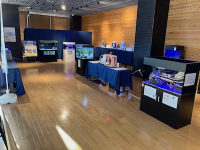 御前崎市イベント