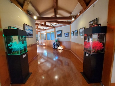 島田市イベント