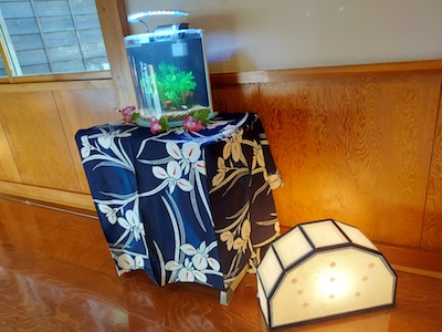 島田市イベント