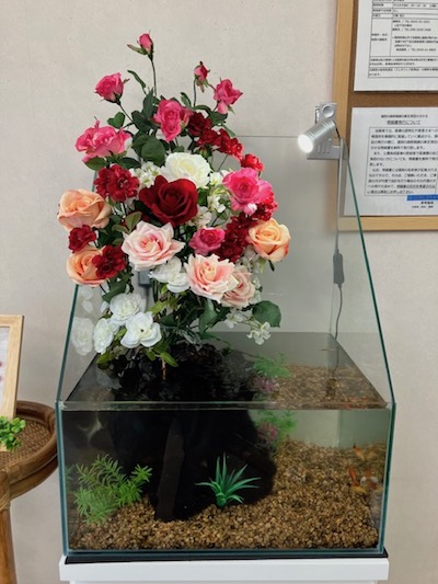 富士市ドラッグストア